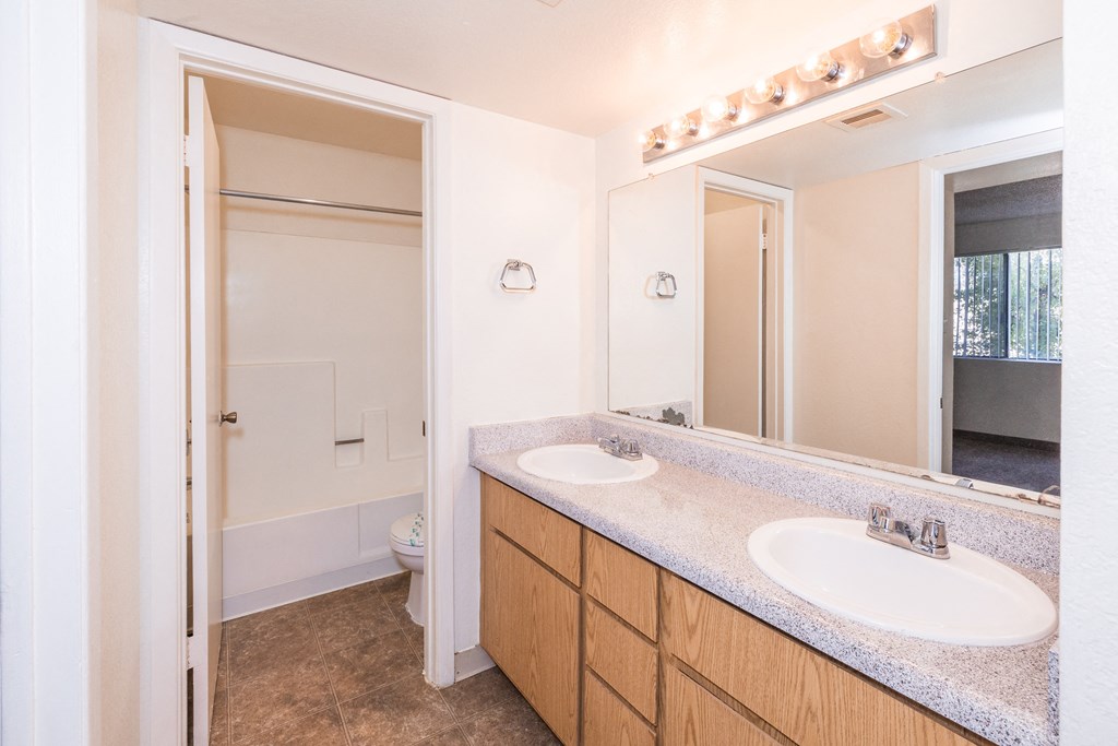 A bathroom with a vanity and a mirror.