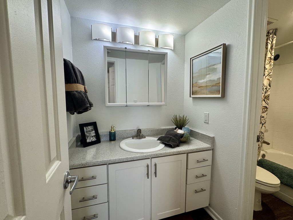A bathroom with a sink, mirror, and cabinets.