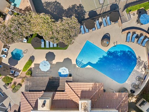 A large swimming pool surrounded by a tiled patio and a small tree.