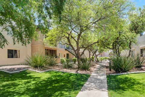 A tree-lined walkway leads to a building.