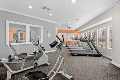 Fitness Center, Treadmill, Gym, Fitness