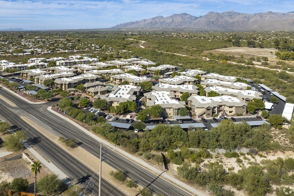 A road with a median strip and a row of houses on the right.