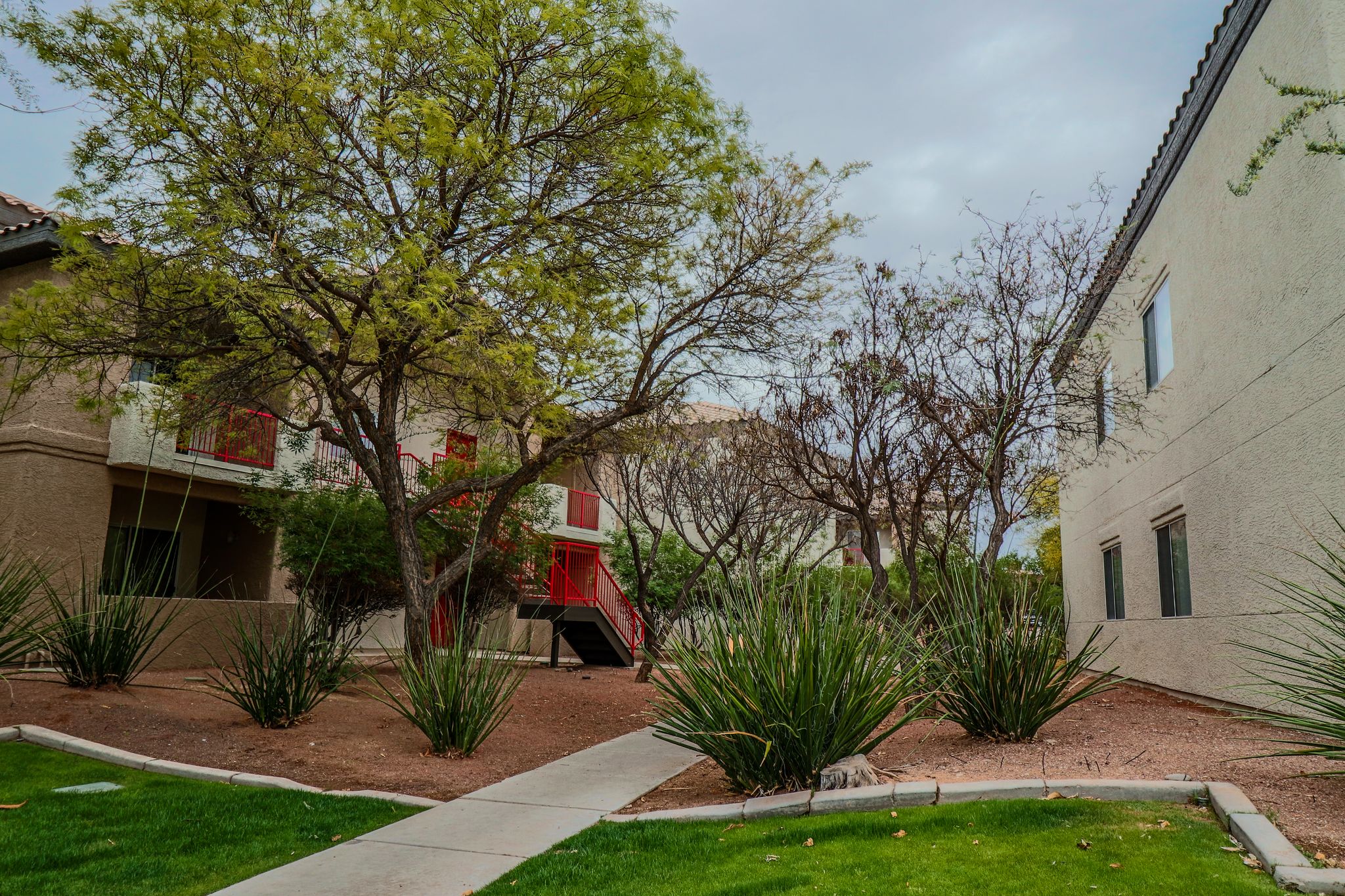 The Place At Edgewood*