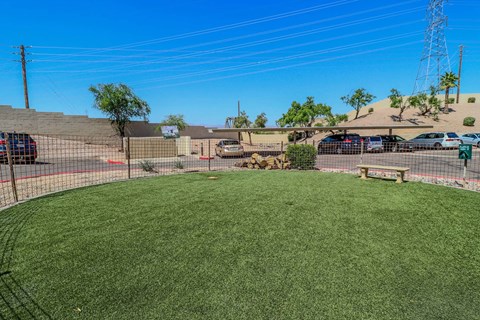 A grassy field with a fence and a bench in the foreground.