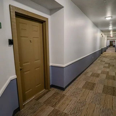 A hallway with a brown door and carpeted floor.