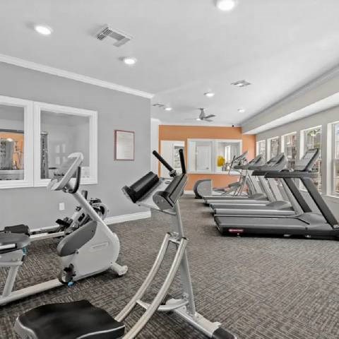A gym with treadmills, elliptical machines, and other exercise equipment.