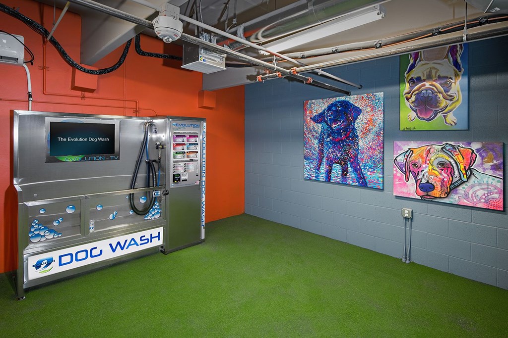 A dog wash machine is in a room with a green floor.