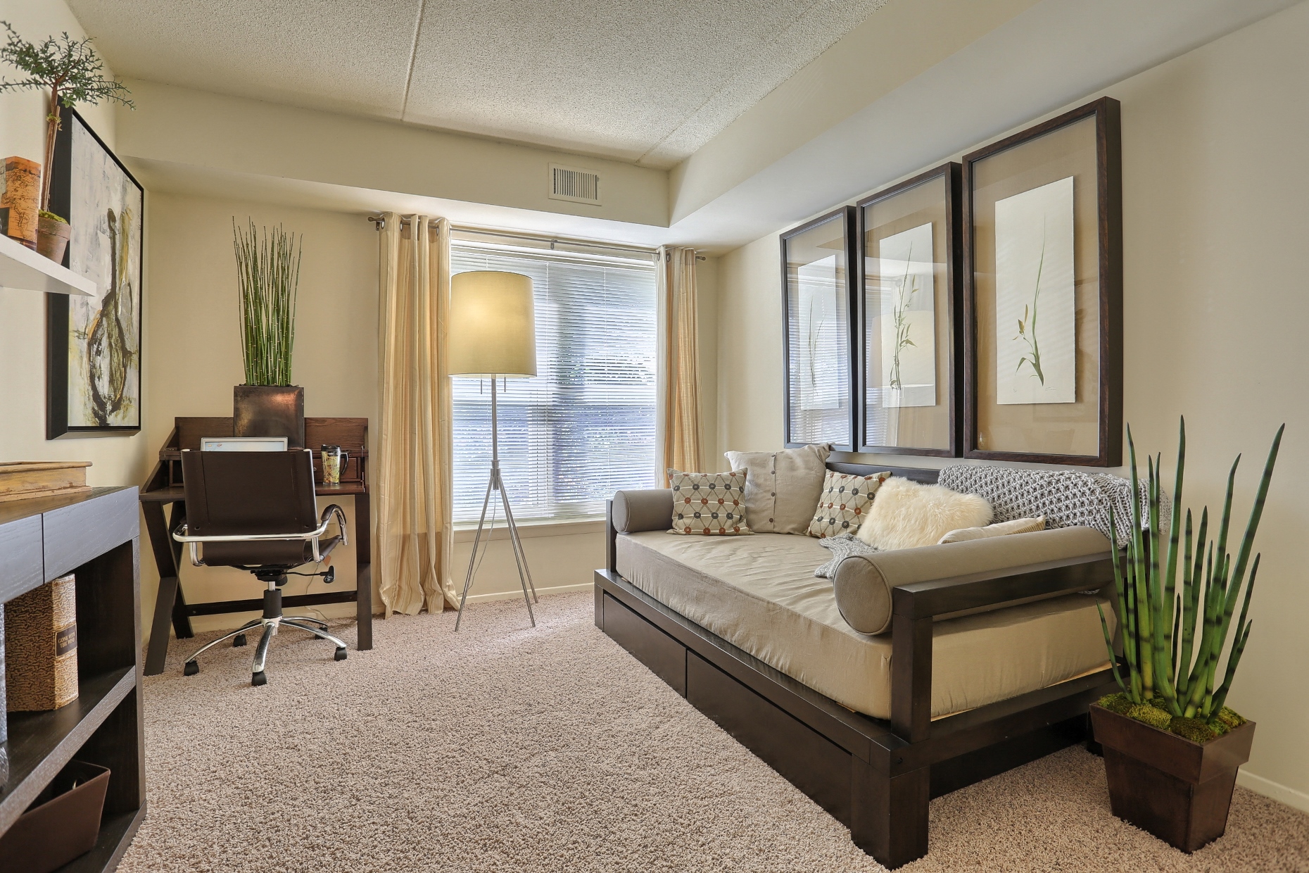 Springford Apartments