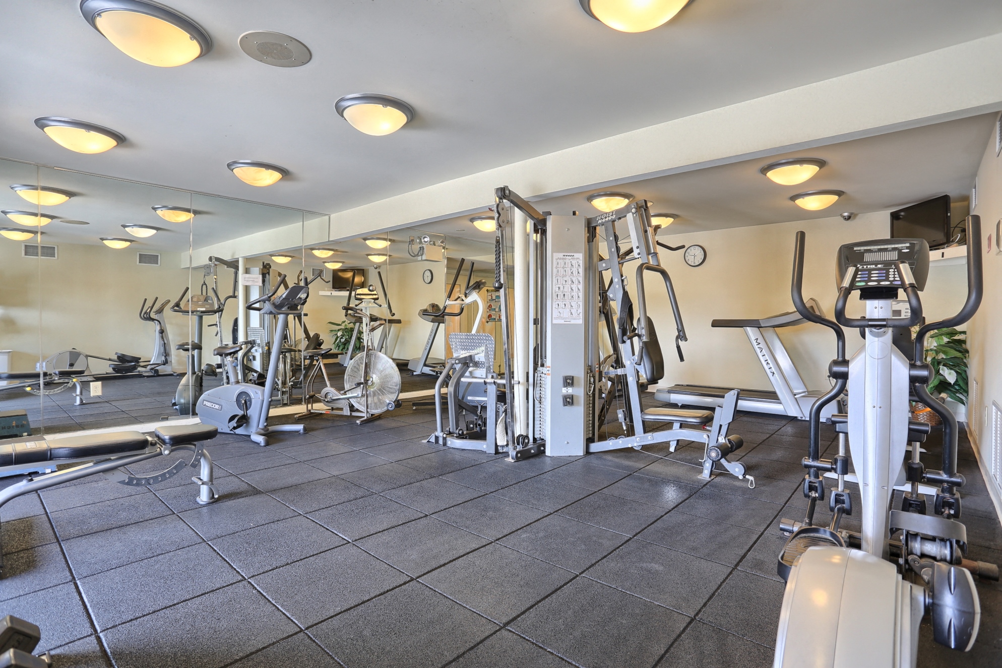 Springford Apartments