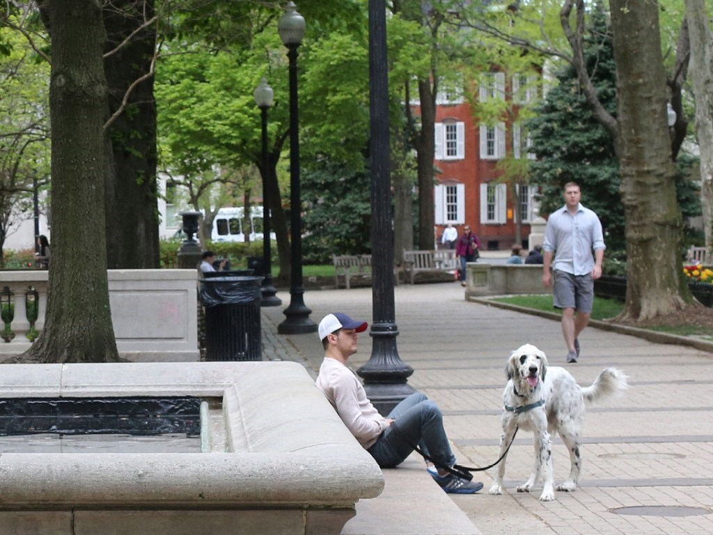 A man and his dog rest near a fountain in Rittenhouse Square