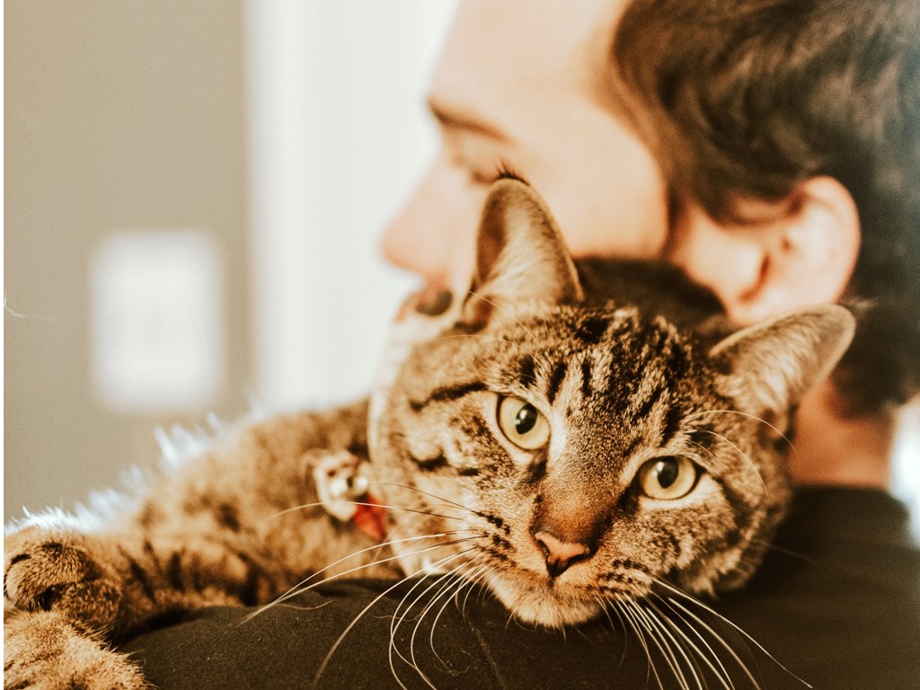A Kardon Atlantic resident cuddles with his cat