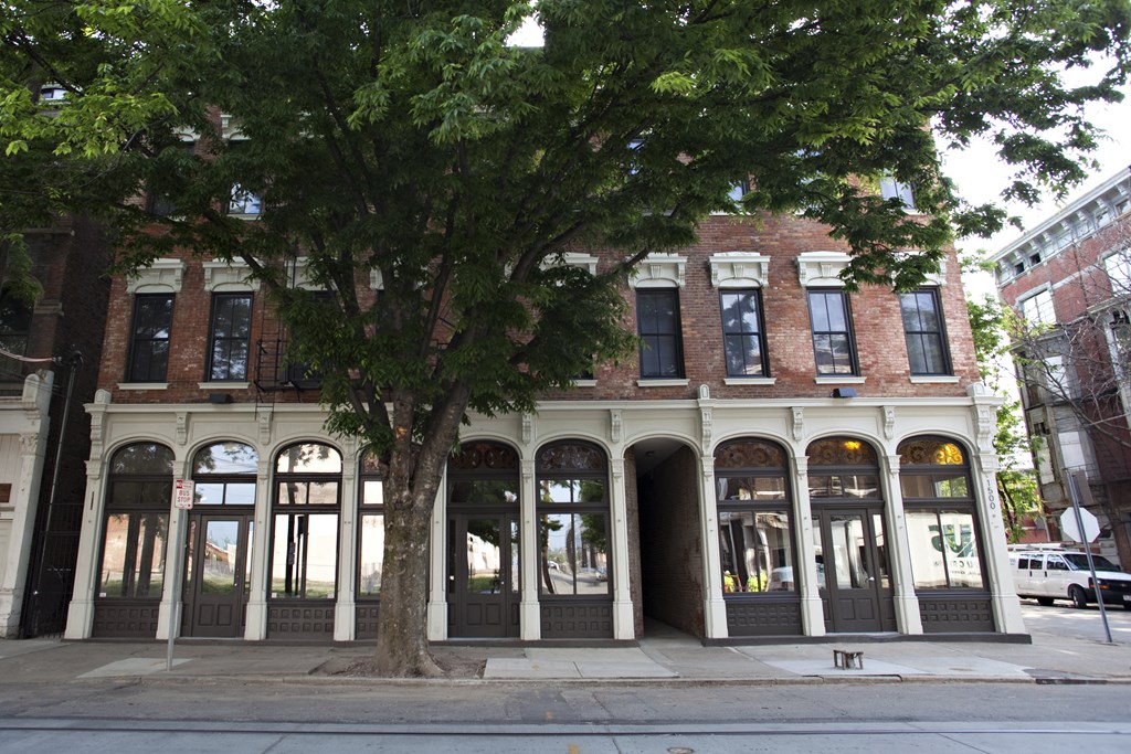 a tree in front of a building on a city street