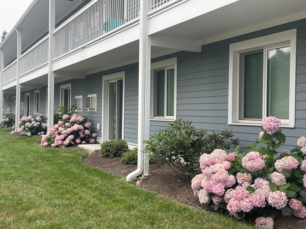the front of a house with pink and blue flowers