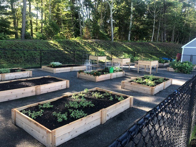a group of raised garden beds in a yard