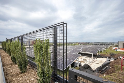 A row of solar panels are installed in a field.