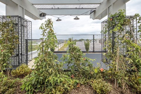 A patio with a pool and plants.