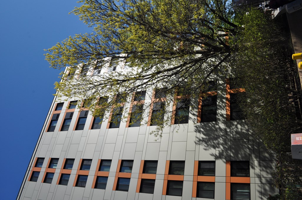 a tall building with a tree in front of it