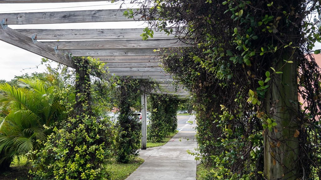 A pathway is covered with greenery and plants.