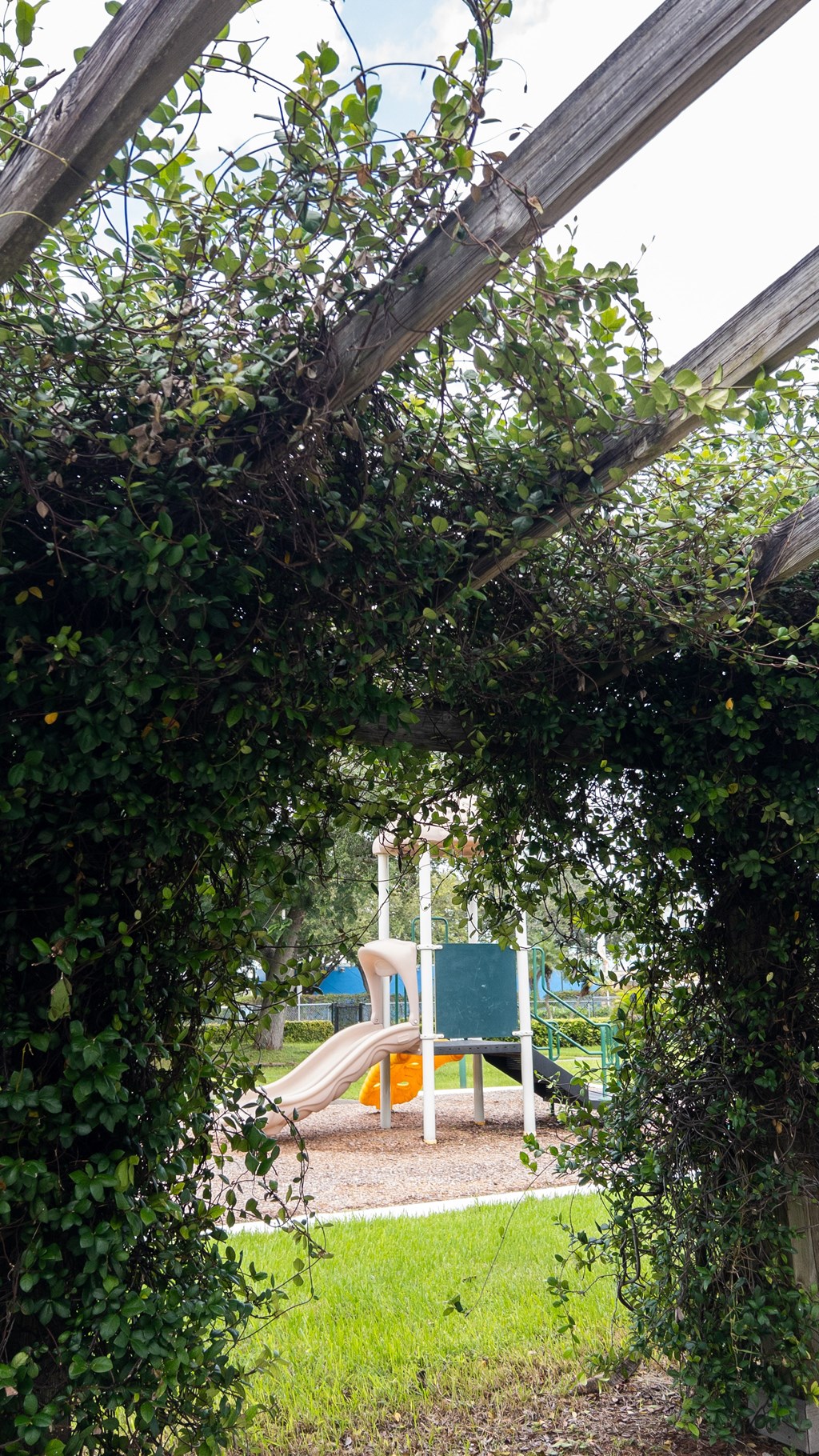 A playground is seen through a leafy archway.