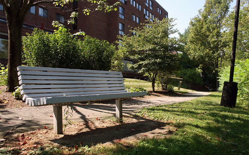 A white bench sits in a grassy area with trees and a building in the background.