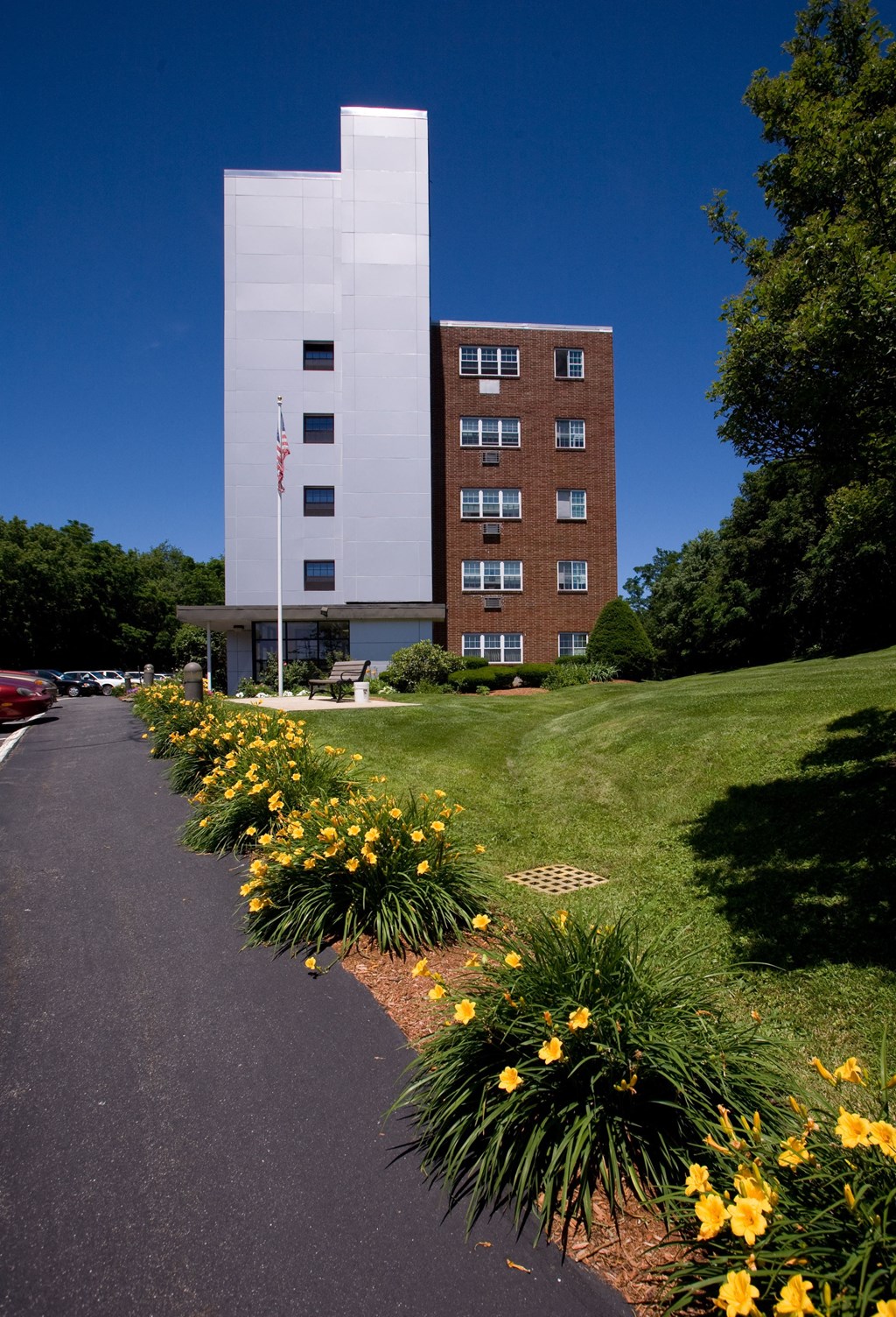 a building on the side of a road with yellow flowers