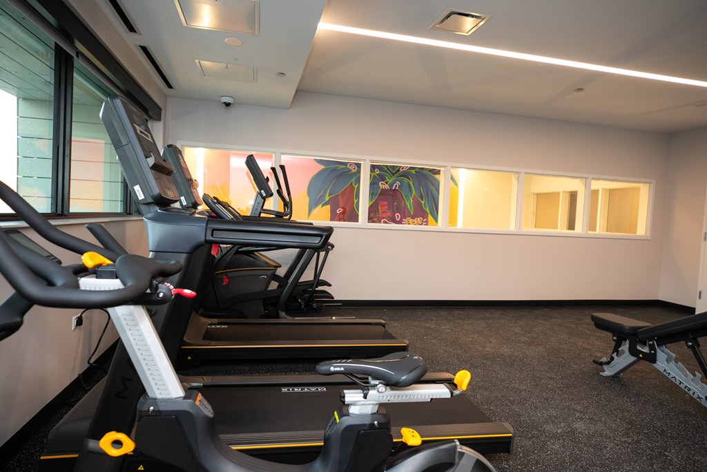 A gym with treadmills and a bench.