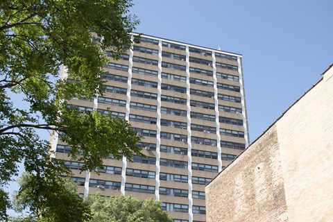 A tall building with many windows is seen behind a tree.