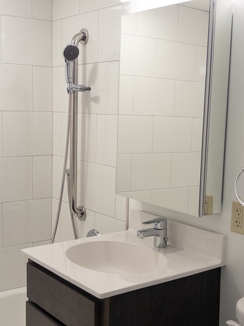 A white sink in a bathroom with a shower head and mirror.