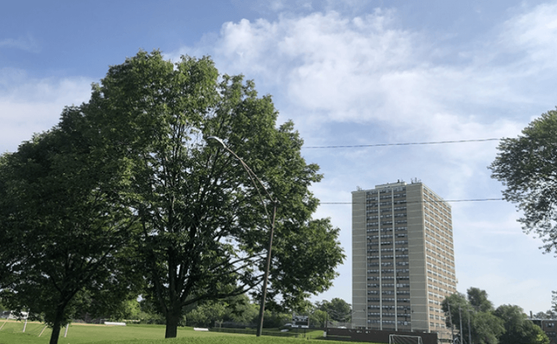 a tall building in the middle of a park