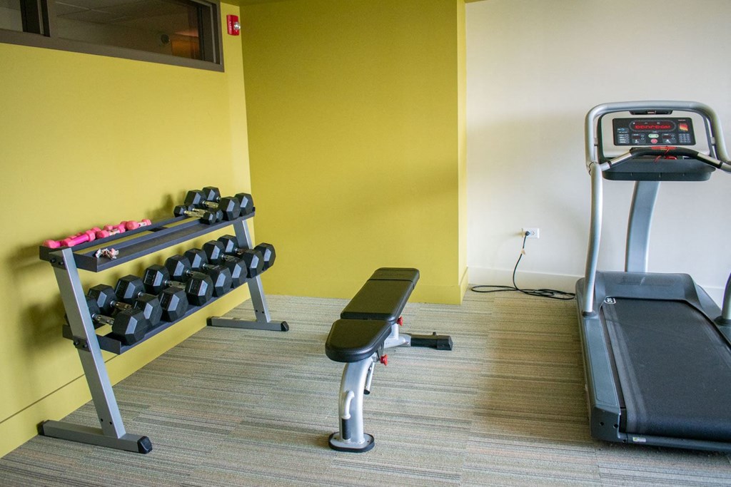 a gym with a treadmill and weights