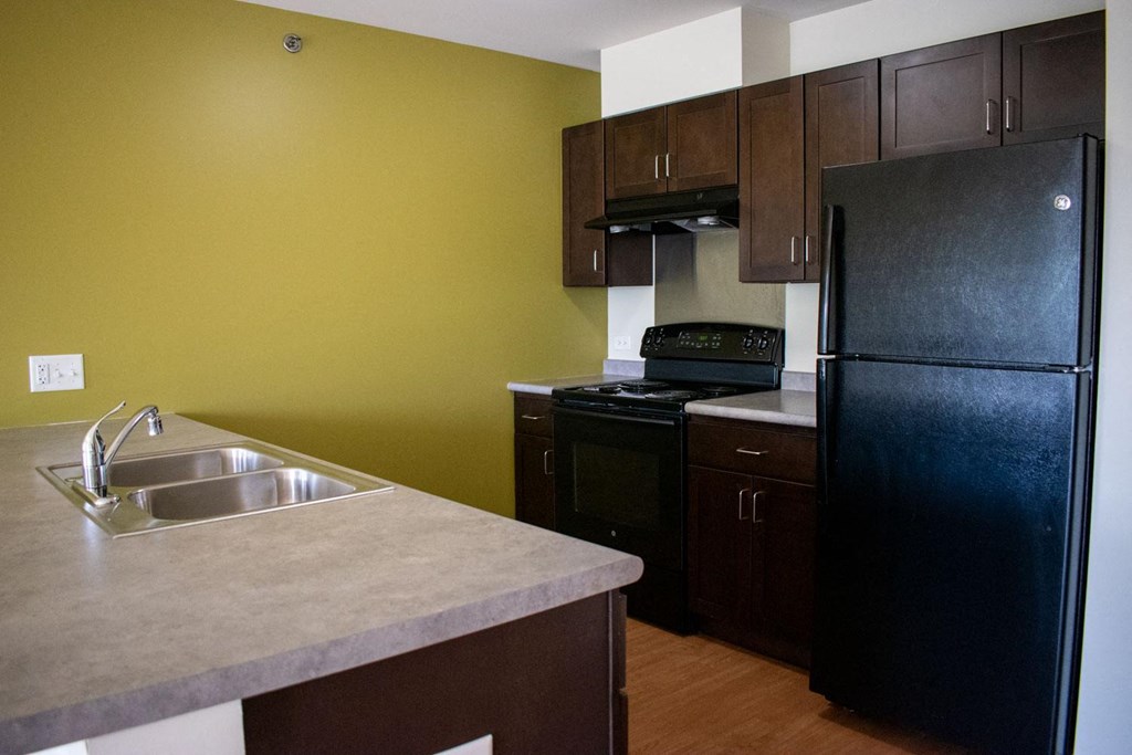 a kitchen with green walls and black appliances