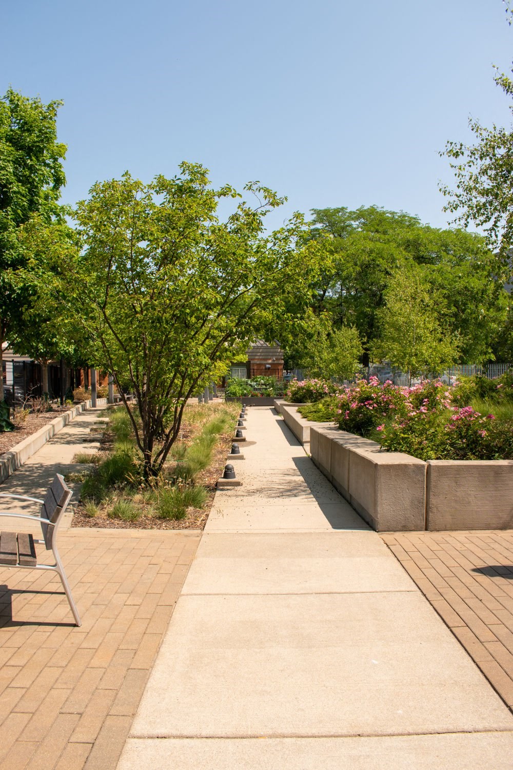 a garden with benches and trees on a sunny day