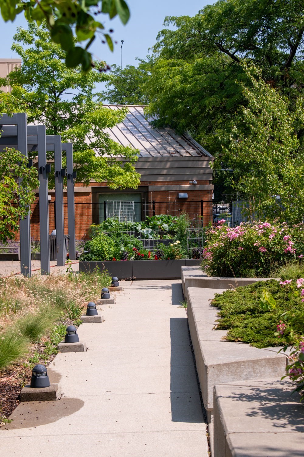 a view of a garden with a building in the background