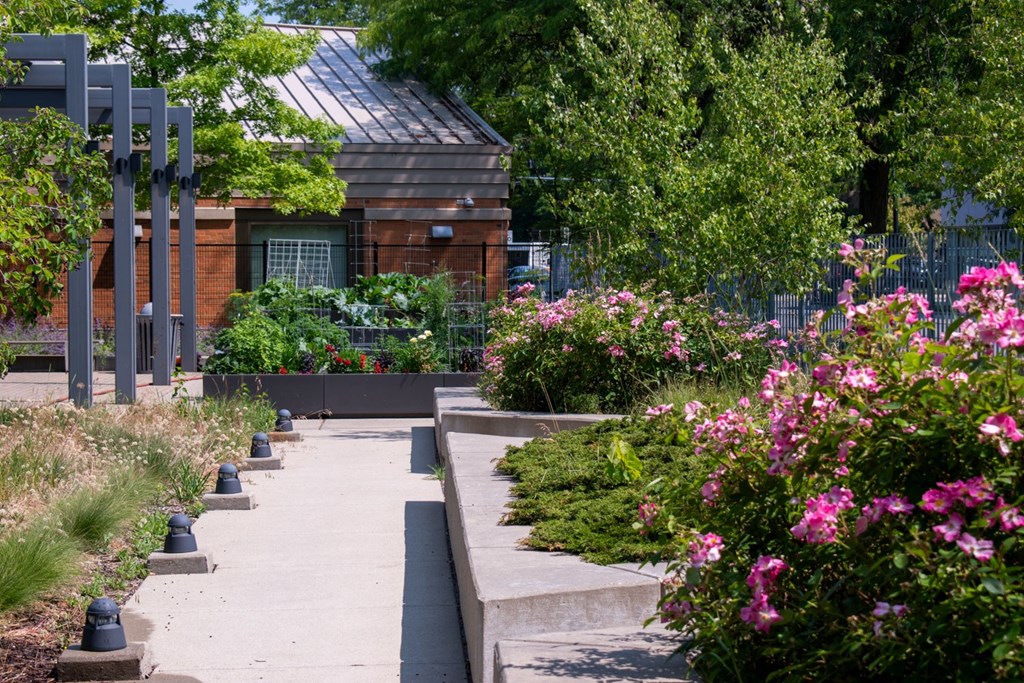 a garden with flowers and a building in the background