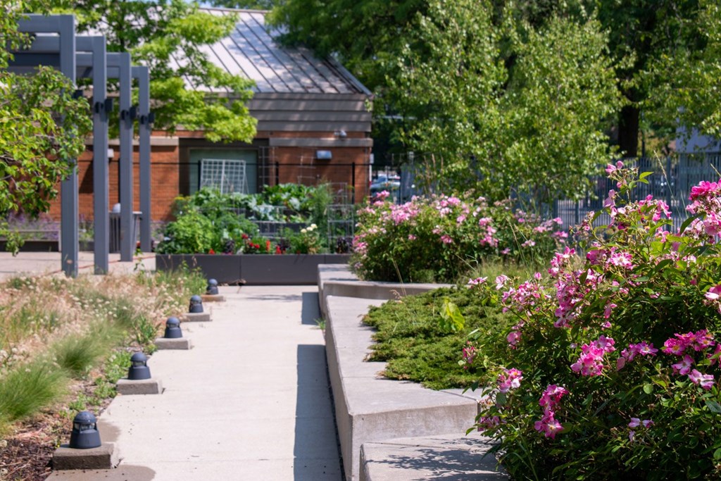 a garden with flowers and a building in the background