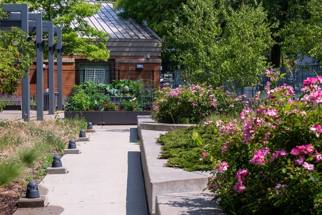 a garden with flowers and a building in the background