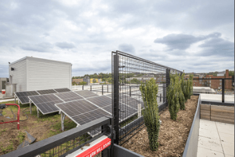 A fenced area with solar panels and green plants.