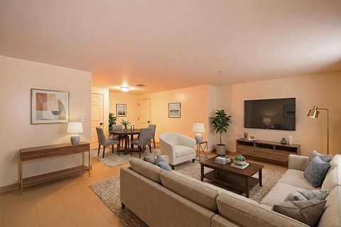 A living room with a couch, a chair, a dining table, and a television.