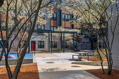 Courtyard with pergola and flowering spring trees at FLAT 9 at WHITTIER Apartments, Boston, Massachusetts
