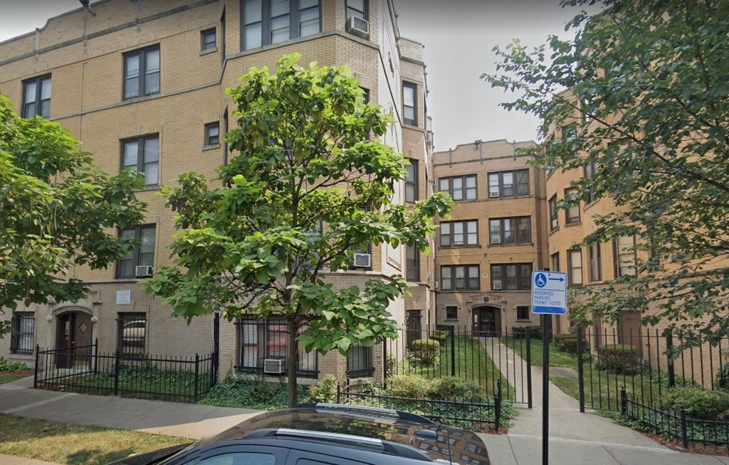 a tree in front of an apartment building