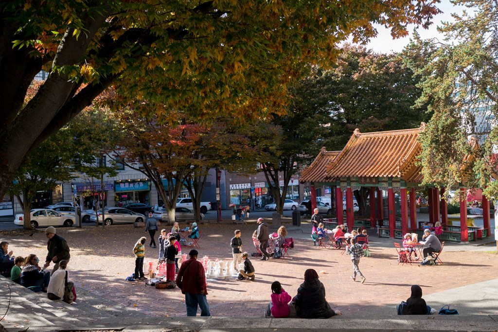 people sitting and walking around in a park