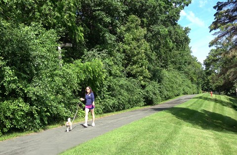 Apartments set in a nature preserve with beautiful scenic views and 6 miles of walking trails at Claremont Apartments in Minnetonka Minnesota.