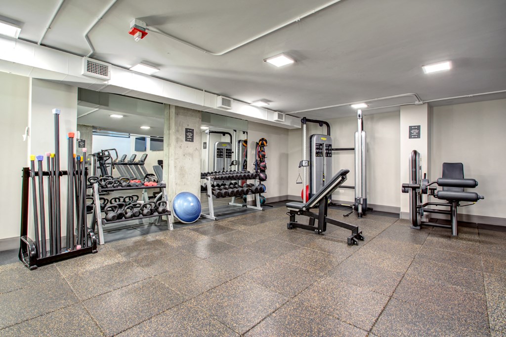 a gym with weights and cardio equipment in a building