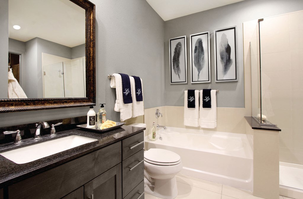Luxury bath suite with granite slab vanity top, frameless glass walk-in shower with separate soaking tub at Le Palais Apartments in Houston.