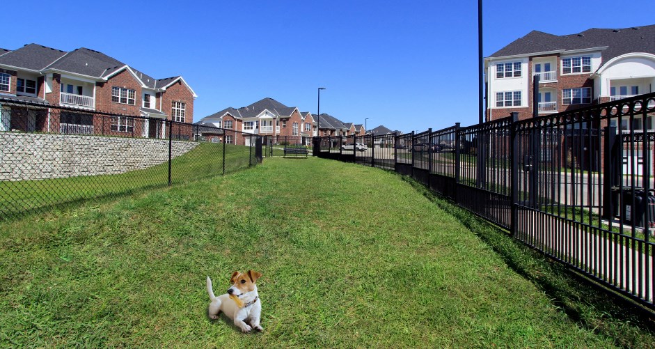 Luxury apartments with dog park at Bellemeade Apartments in west Des Moines