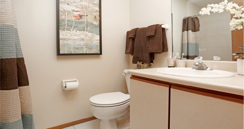 a bathroom with a toilet and a sink and a mirror