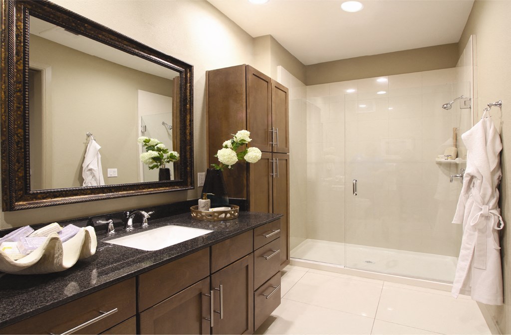Spacious bathroom with built-in shelves, frameless glass walk-in shower, and granite slab vanity top Tuscany Walk Apartments in Houston.