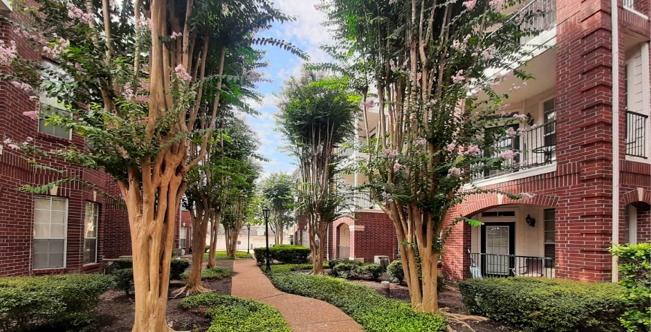 Luxury apartments with brick exteriors and lush landscaping including beautiful chaste trees at Tuscany Apartments in Houston.