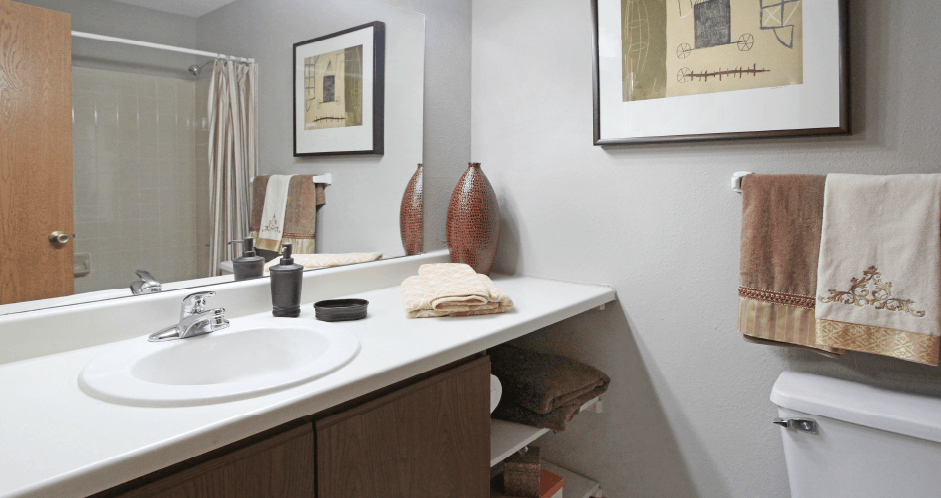 Bathroom with extra cabinet space and gray wall color, at the Vanderbilt Apartments in central Omaha, Nebraska