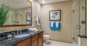 Luxury bathroom with granite countertops, glass shower and separate soaking tub at Villa Piana Apartments in Dallas - Photo Gallery 6